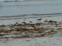 2013-09-29 18-18-02 VVF Portbail-La plage MBo